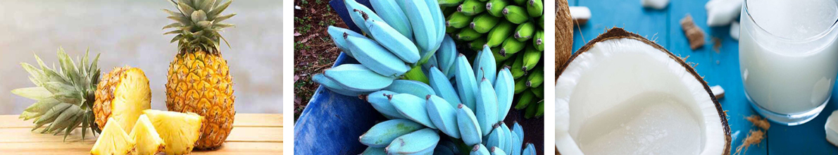 Blue Java Banana